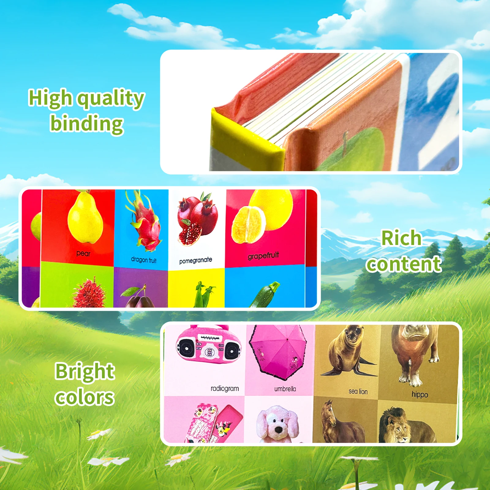 Set of 4 learning board books - Image 3